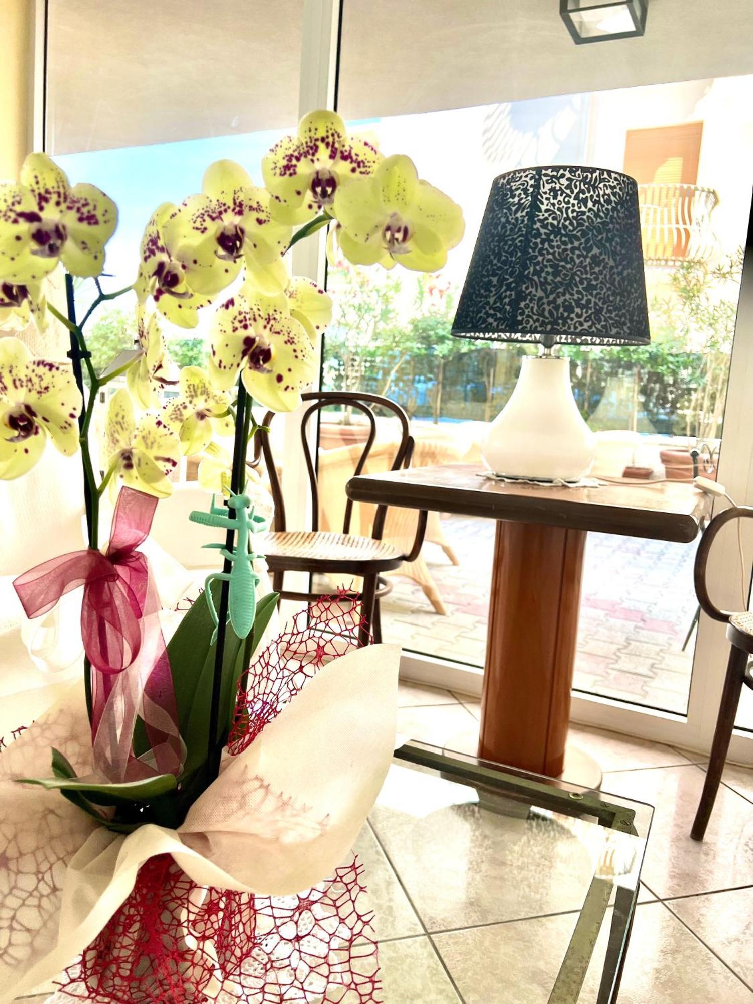 Hotel B&B Montecarlo ミラノ・マリッティマ エクステリア 写真